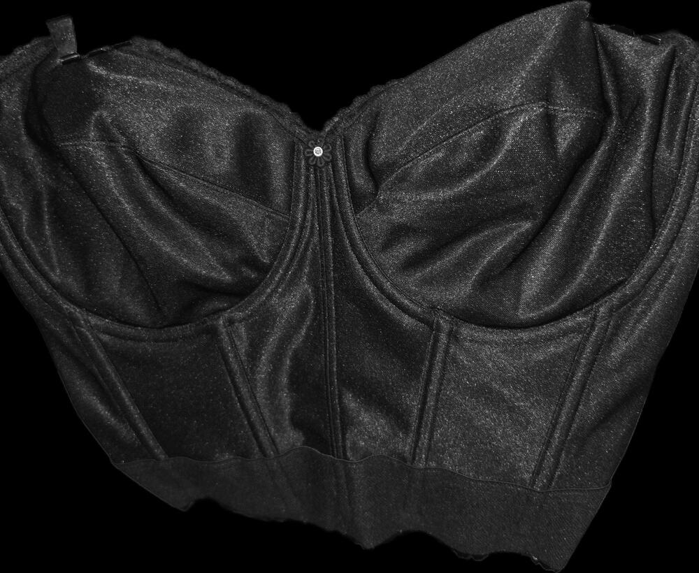 Dominique Intimate Apparel Noemi Backless Strapless Black 32DD Bustier NWT